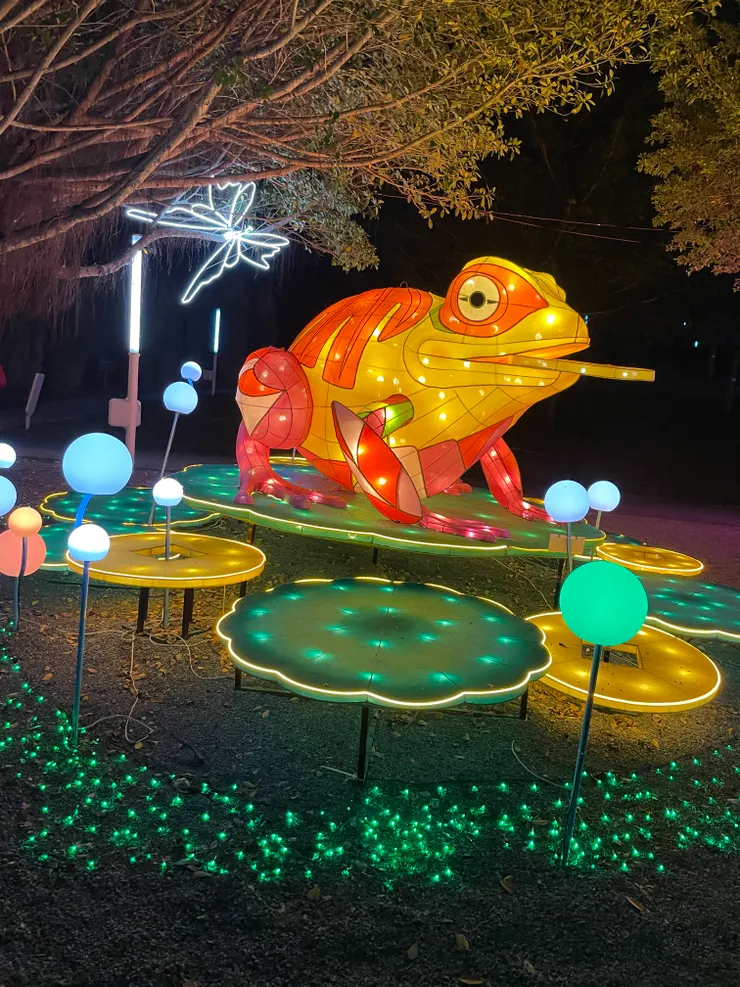 新的一年，咬著銅錢的揪吉絕對是人氣爆棚