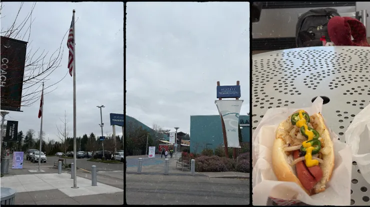 最右圖｜硬買的西雅圖狗和頸枕