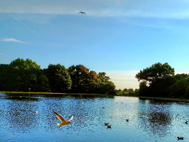 江有汜，之子歸，不我以。不我以，其後也悔。