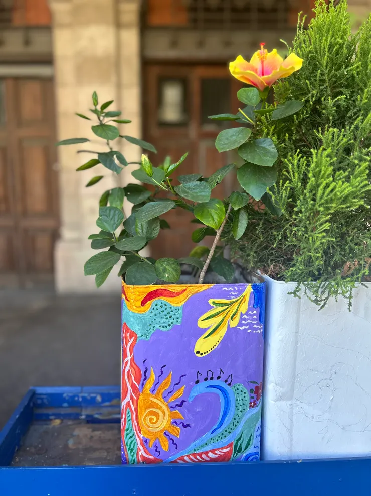 走在巴塞隆納街上，偶然遇見的小花