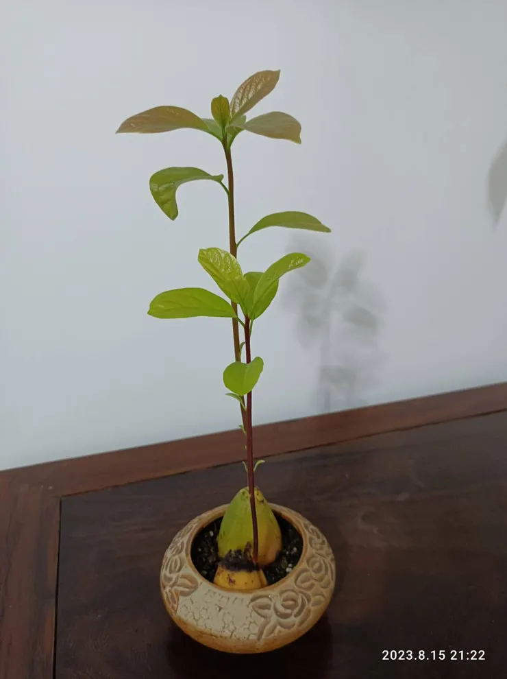 現在的樣子(神秘女子拍的)