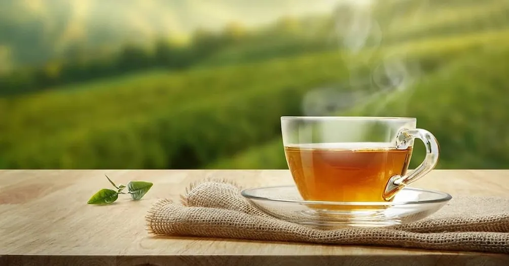 人蔘烏龍茶的沙龍