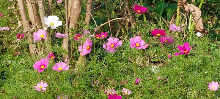 朝著正確的方向努力，財務自由後會讓人更有選擇權