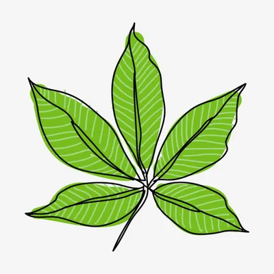 落葉歸根的沙龍