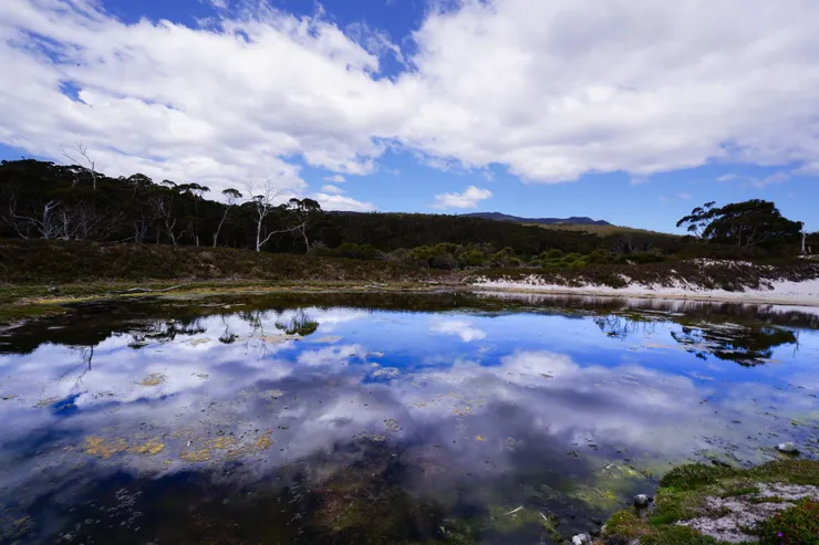 倒影(這裡的海味很濃)