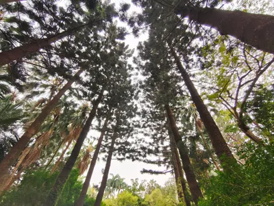 猜這天空之森🌲在哪裡？第一個猜中，質感旅行皂直接送！🎁