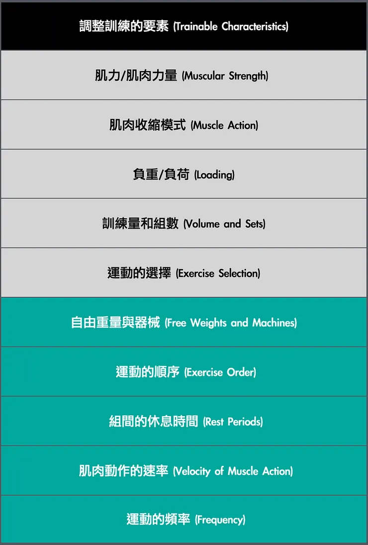 調整訓練的要素,從自由重量與器械開始說明。