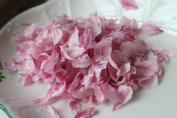 古人非常重視節氣，認為三月三收的桃花最得天地之氣。