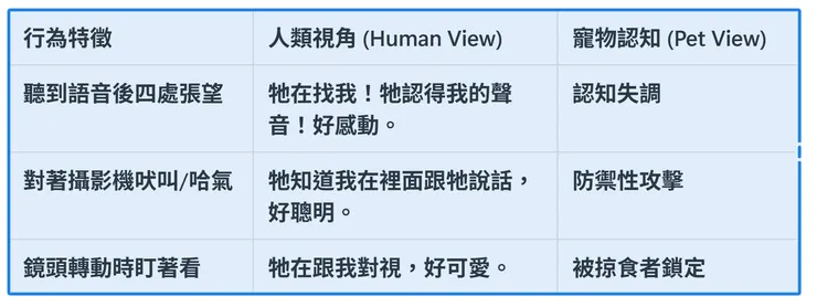 當恐懼偽裝成歉意時你要如何解讀?