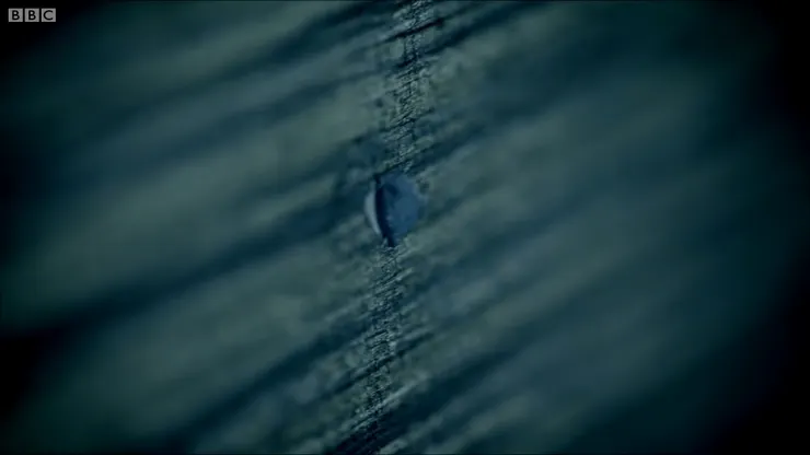 新世紀福爾摩斯 強調細節