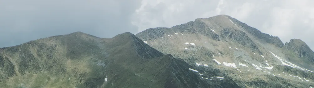 神久無矢的沙龍