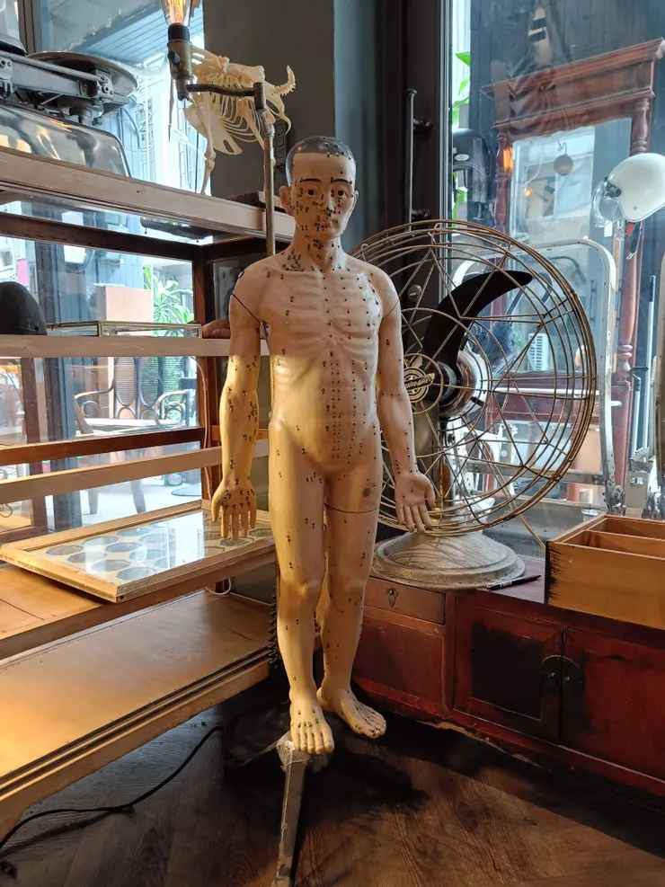 店內也陳列人體穴道模型