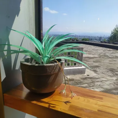 塔羅牌之旅：靈性的哲學的沙龍