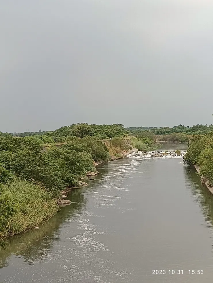 桃紅李白盡付江，自拍攝