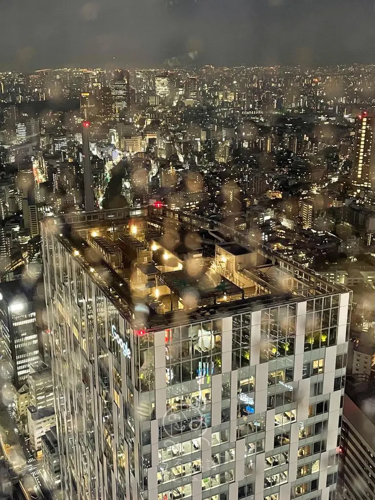 中間下方的建築物就是 Google 大樓!