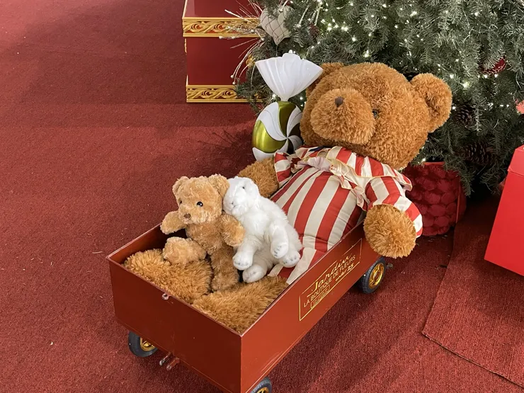 小熊們總是讓人覺得溫暖