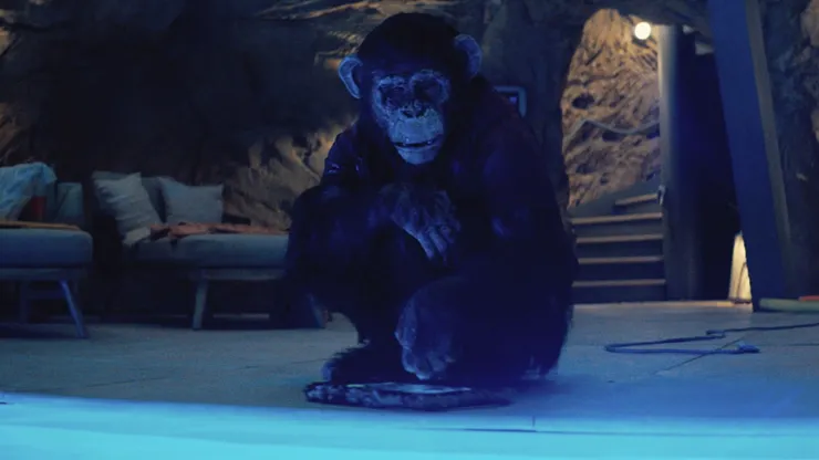 《猩瘋血雨》劇照