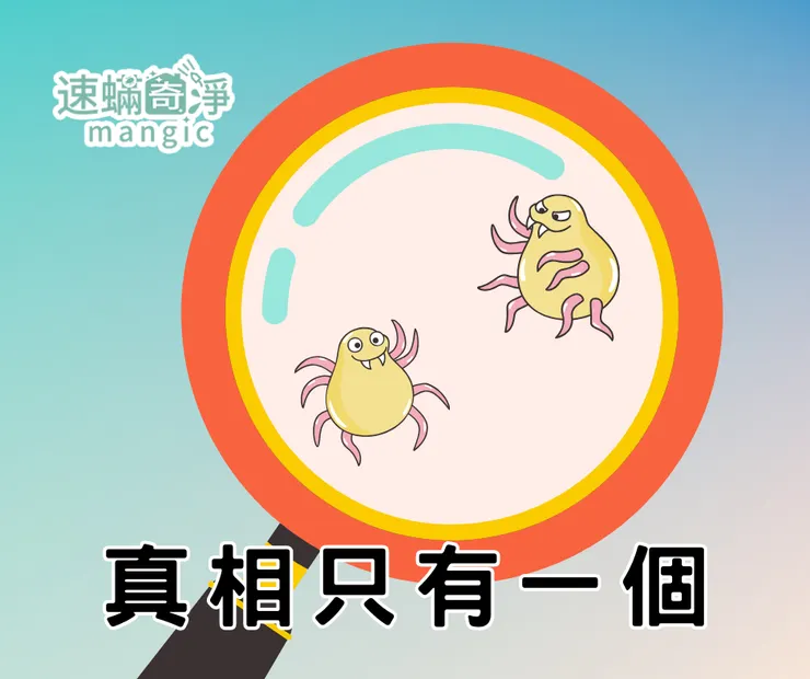 新北除螨推薦.新北除塵螨推薦.新北除塵螨.新北除螨.速螨奇淨