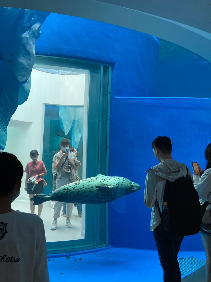 寒帶區可以看到可愛海獅!