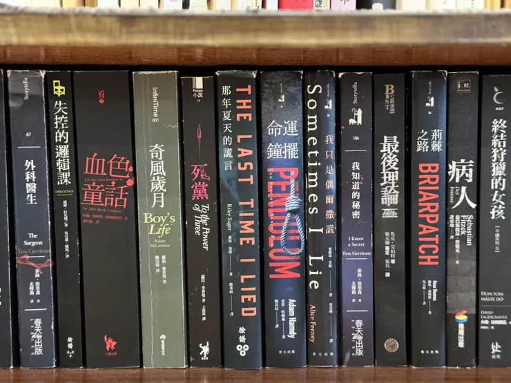 每一本都可以看很久的翻譯小說