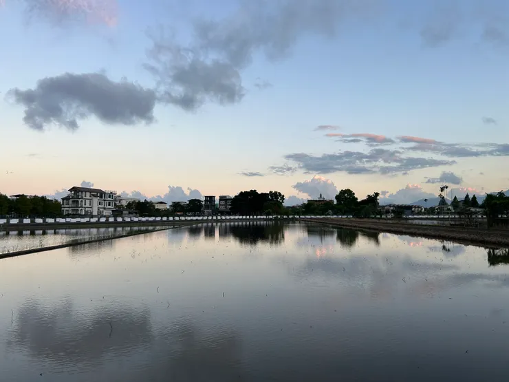 我看爸爸老家田水風光,總是不分四季,無論晨昏,晴雨皆美。