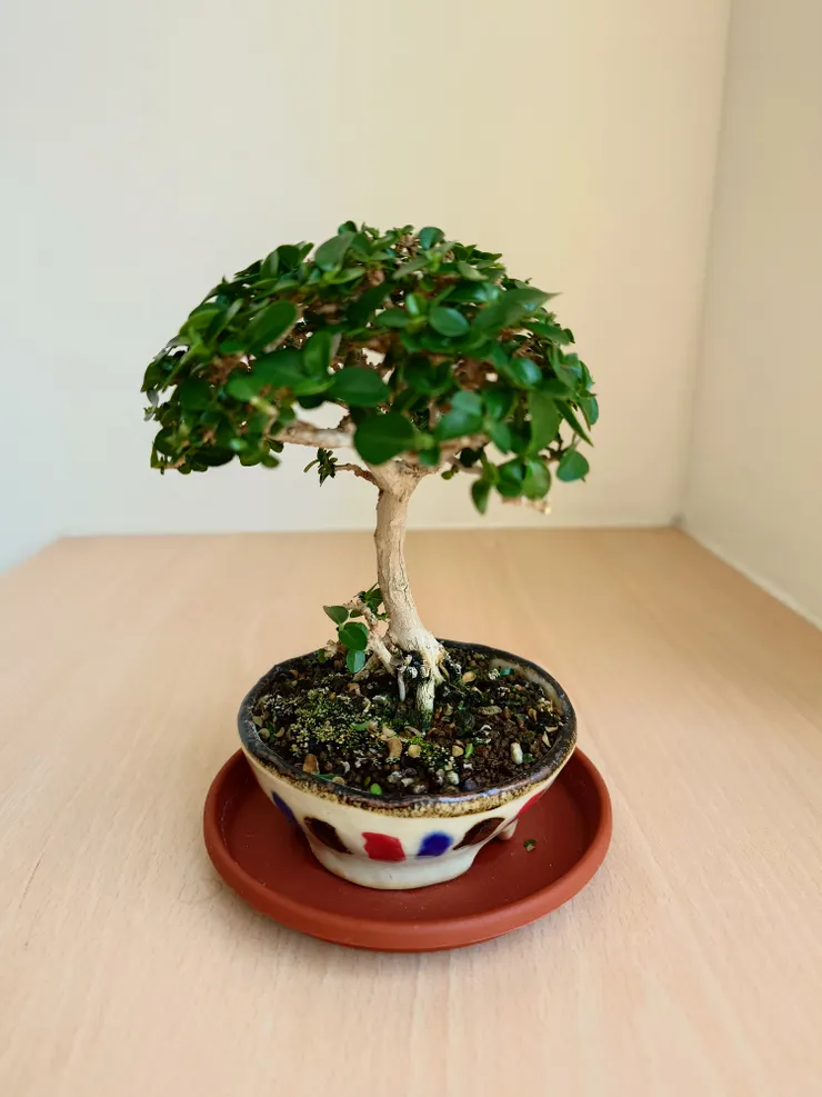 和三月份相比,生氣蓬勃