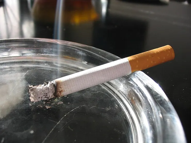 圖片取自維基百科