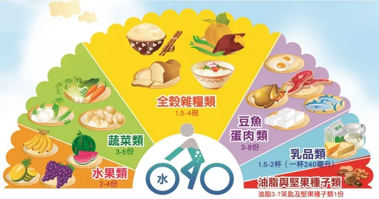 每日飲食指南，資料來源：衛生福利部國民健康署。