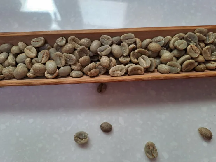 品名：藍湖背影