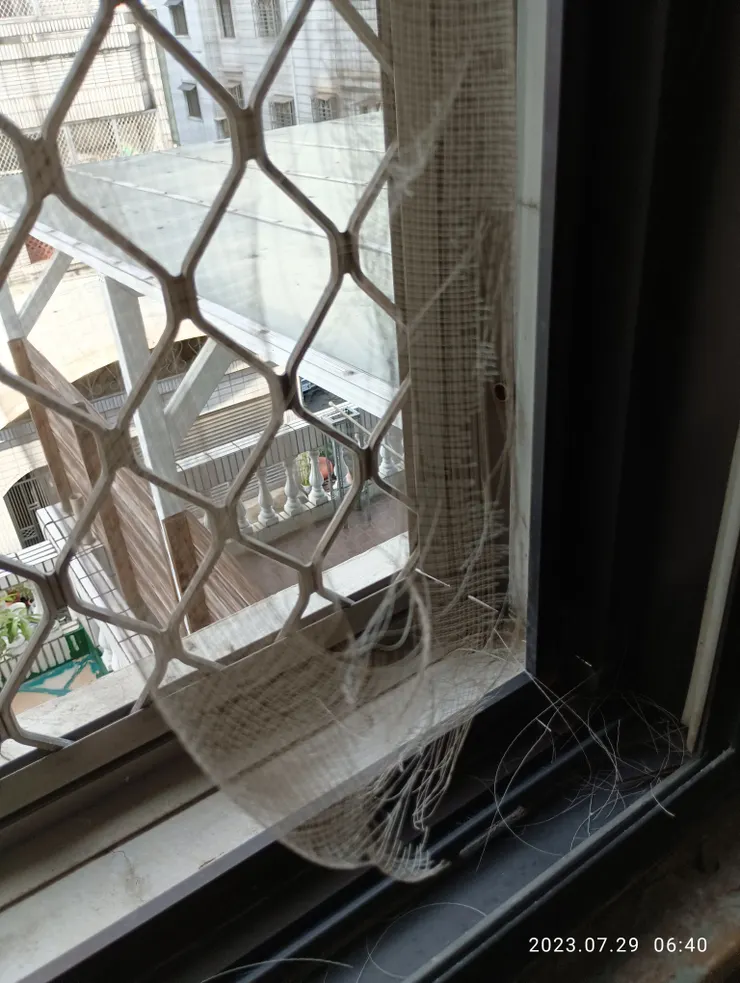 微風/ 裂/ 窗紗如帛