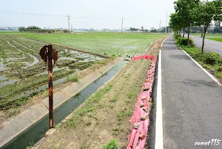 往大林方向拍