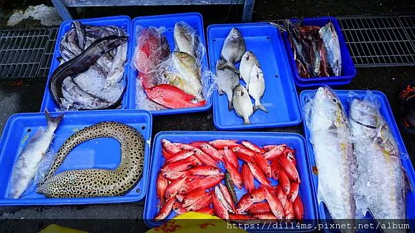 港邊某攤子的漁獲