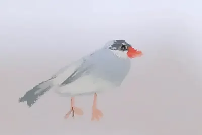 雪倫の日常札記