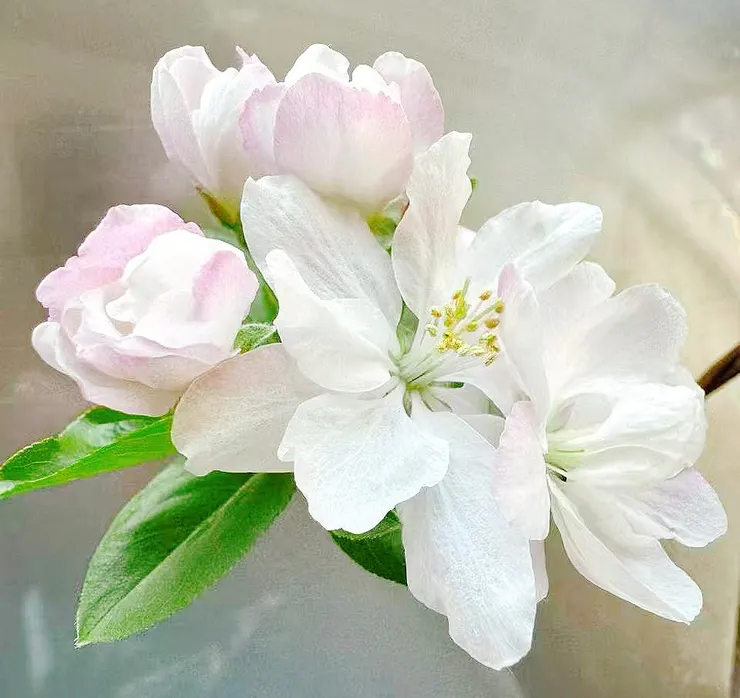 任何時刻不需刻意，只要全然活出自己的勇氣。