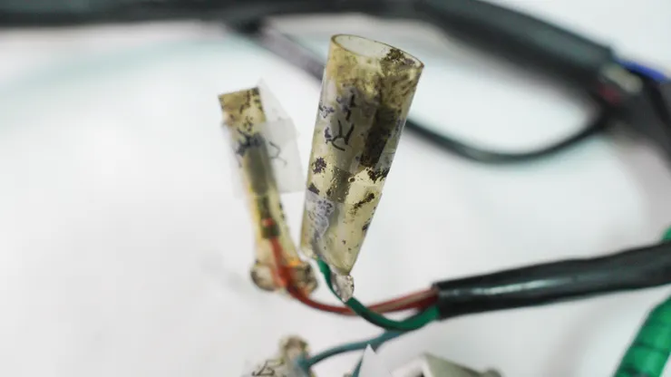 看了就難受香菇...