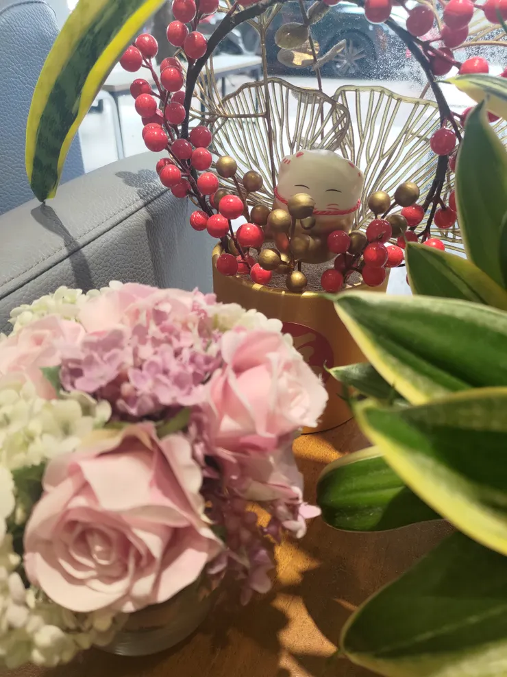 診所裡的小盆栽