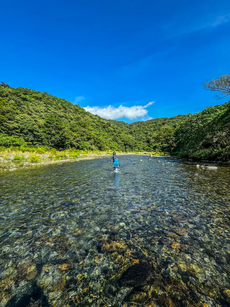 光看照片就能感受到清涼,難怪夏天大家都愛往溪邊跑~