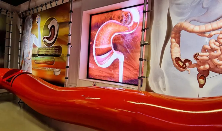 圖片來源:superbusymum.net網站