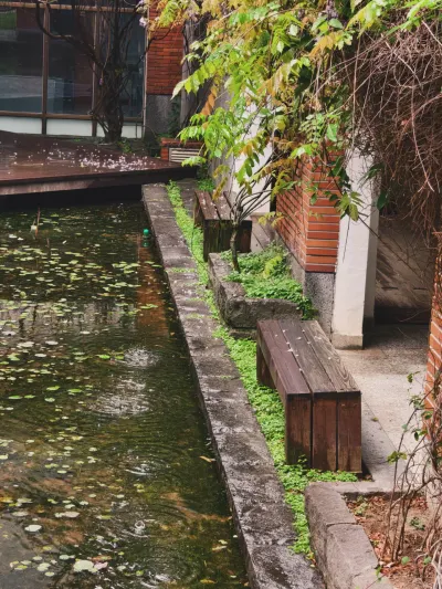 雨日的人文底蘊