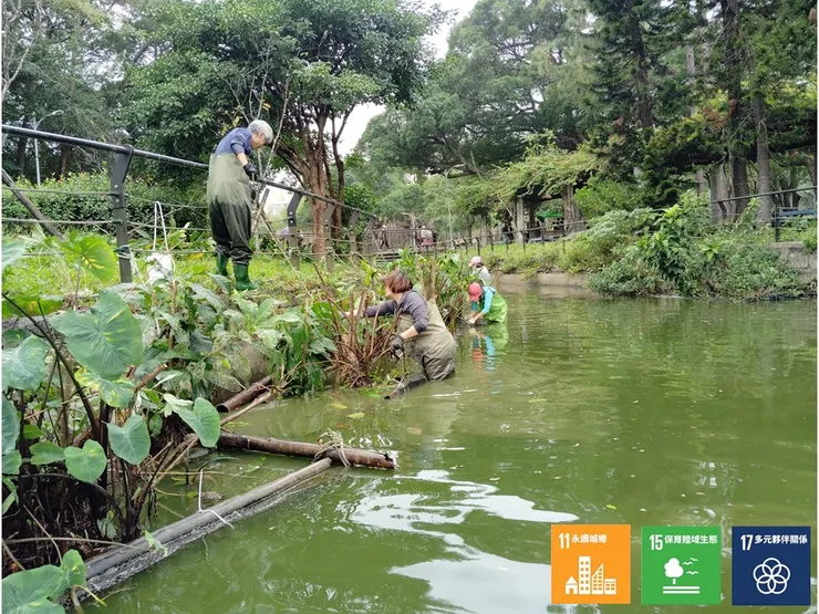 水陸間的夥伴互相合作與接應