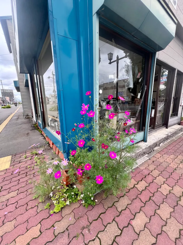 夏季的北海道街頭，隨處可看到繽紛色彩的小花