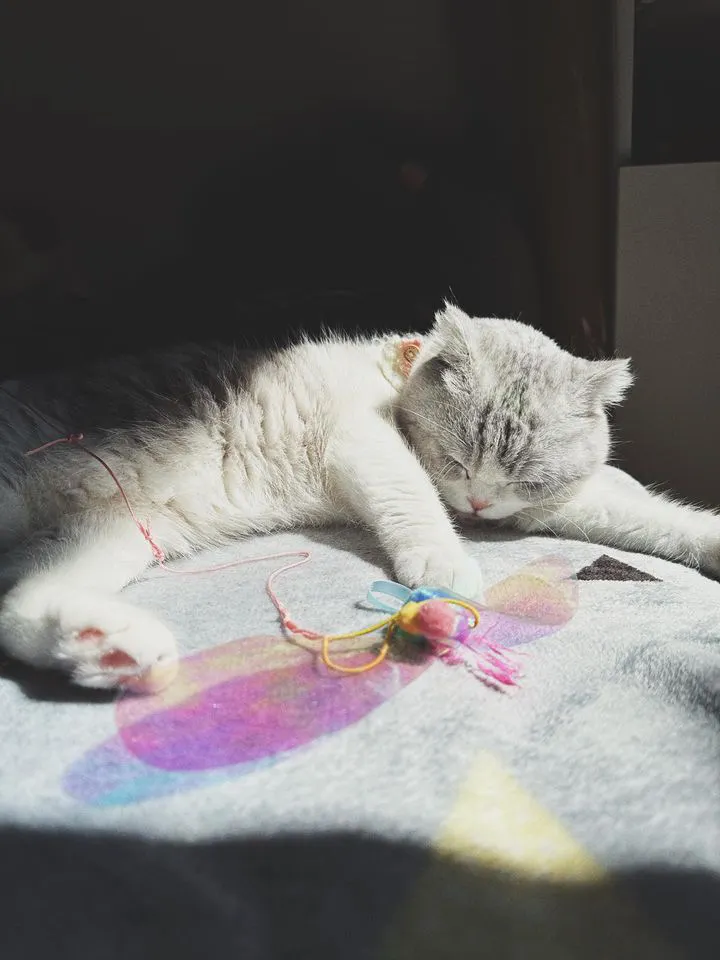 Yuki / Photo by K.S.