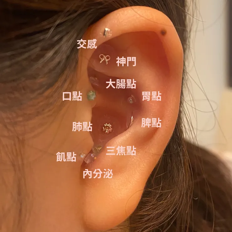 耳穴貼穴道-飲控耳穴