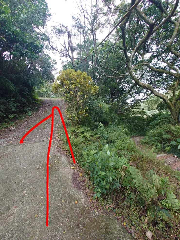 正確路徑是紅色箭頭的馬路，土地公廟旁邊的路是死路