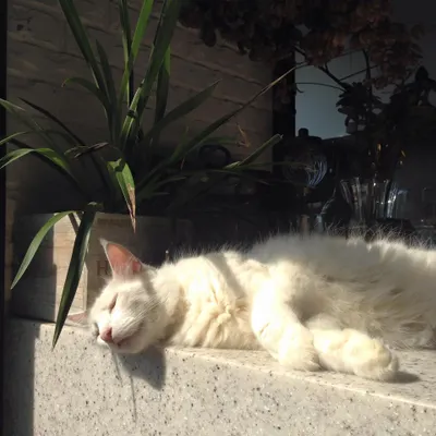 又到了曬太陽時間 ! 
