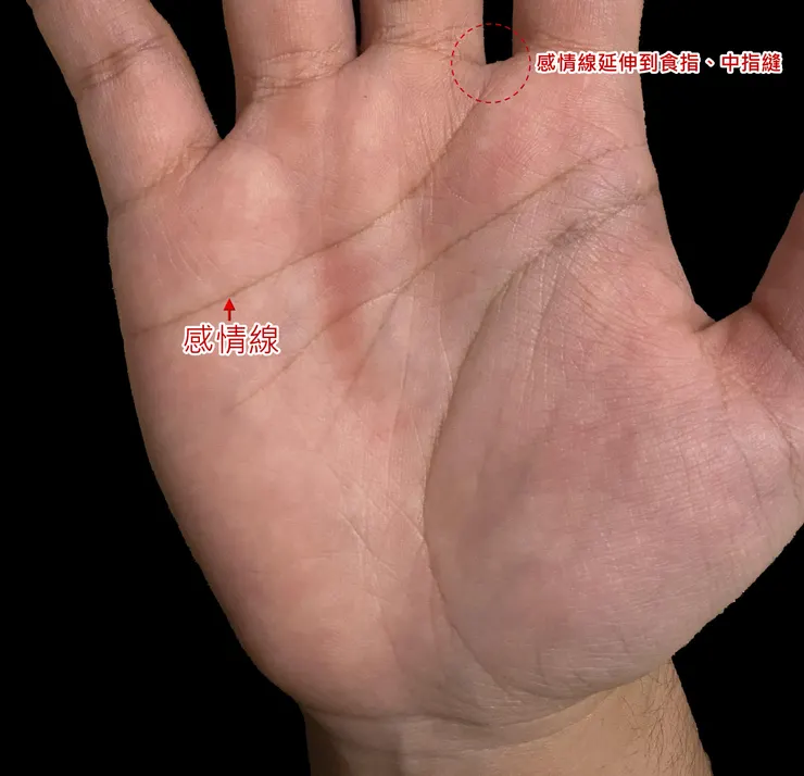 感情線延伸到食指、中指縫