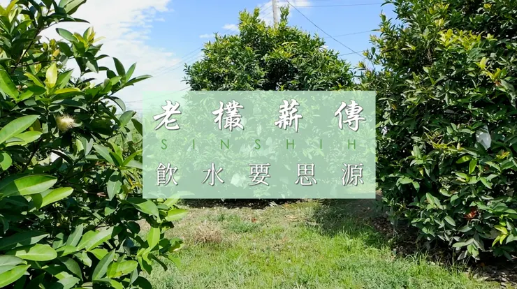 新市區老欉薪傳系列短片-飲水要思源