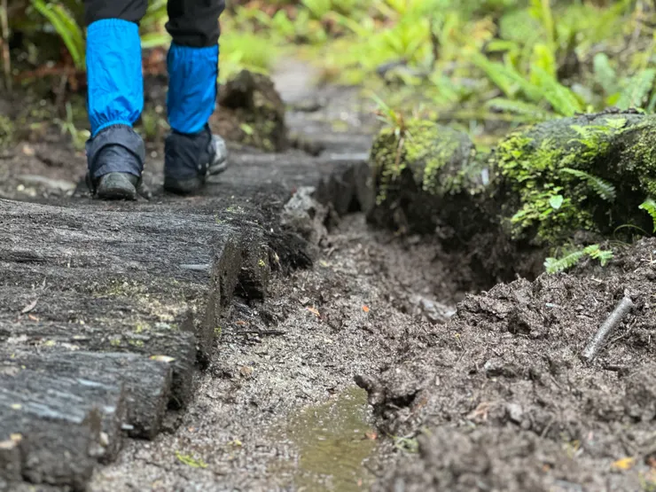 步道上不時會看見使用樹蕨枝幹作為鋪面的就地取材工法。