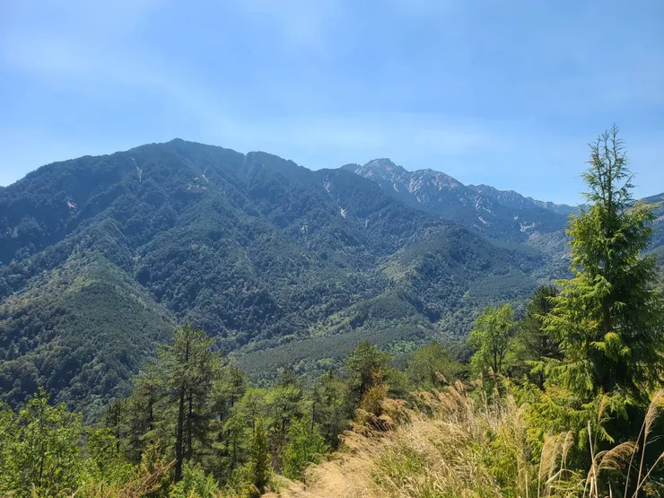 看到展望代表快出新登山口了