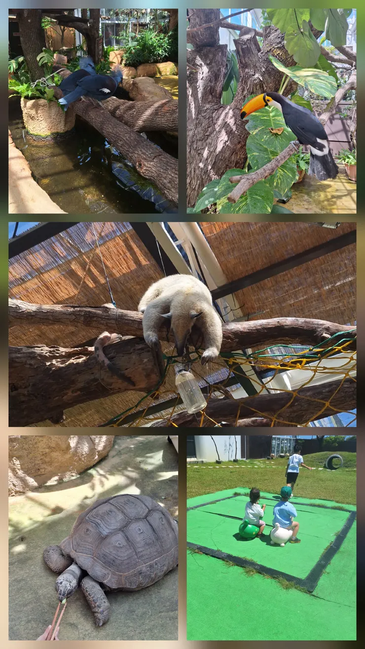 食蟻獸喝水很特別。